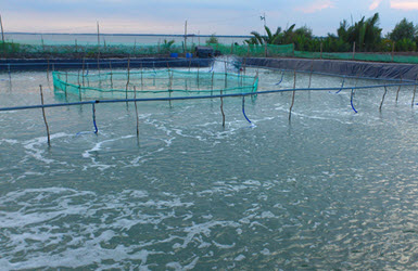 Aquaculture aeration