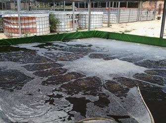 Máy thổi khí nuôi tôm