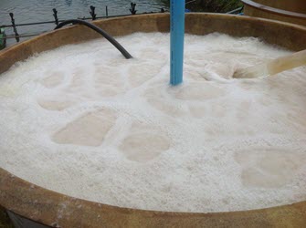 Sục khí đáy nuôi tôm