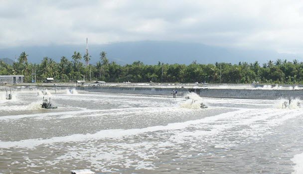 Máy quạt nước nuôi tôm
