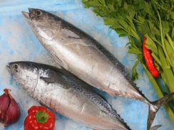 Giá cá ngừ giảm mạnh trong phiên đấu giá đầu năm mới tại Nhật Bản