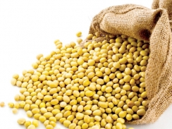 Thị trường nguyên liệu - thức ăn chăn nuôi thế giới ngày 12/3: Giá đậu tương giảm