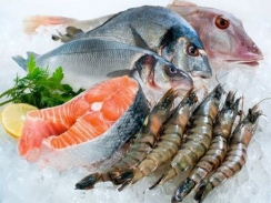 Xuất khẩu cá tra, mực bạch tuộc và cua ghẹ sang Trung Quốc tăng vọt tới 240%