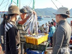 Ngư dân khai thác trên 1.200 tấn hải sản các loại