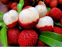 Thị trường trái cây tuần qua: Vải thiều và sầu riêng giá tăng cao, mít Thái giảm mạnh