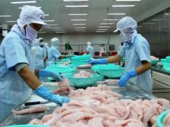 Xuất khẩu cá tra sang ASEAN giảm nhẹ