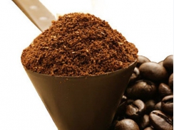 Giá ca cao ngày 20/11 sụt giảm, trong khi giá đường, cà phê arabica tăng lên