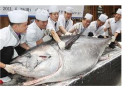 Giá Cá Ngừ Đại Dương Tăng Lên Trên 100 Ngàn Đồng/kg