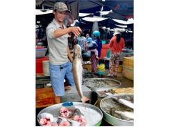 Cá Bông Lau Đầu Mùa 280.000 Đồng/kg