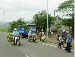 Thị Trấn Vân Canh (Bình Định) Mất Mùa Chuối Tết