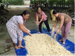 Tổ chức 204 lớp dạy nghề cho hội viên nông dân
