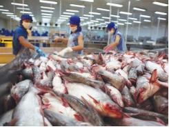 Nông sản Việt nhiều cơ hội ở TPP