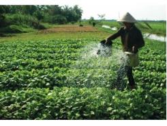 Xây dựng nông thôn mới từ góc nhìn kinh tế