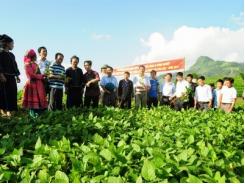 Tổng kết công tác thông tin khuyến nông