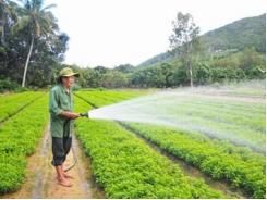 Khánh Hòa có hơn 5.000 hộ vay vốn Quỹ Hỗ trợ nông dân