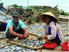Khởi sắc trên những làng quê vùng biển
