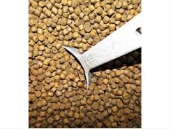 Shift in farmed fish feed may impact nutritional benefits