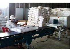 Bãi bỏ quy hoạch xuất khẩu gạo: Vẫn chưa thể “ăn mừng to”