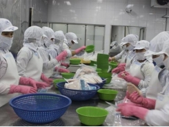 China continue to be potential market for Vietnam’s seafood exportation