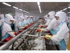 Việt Nam shrimp exports remain buoyant