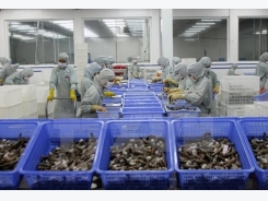 Phu Yen pours over 2.1 trillion VND into aquaculture