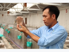 Bac Lieu focuses on high-tech shrimp farming, clean energy