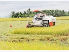 Agricultural restructuring in response to climate change