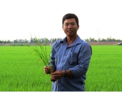 Dong Thap farmer profits from thinking big