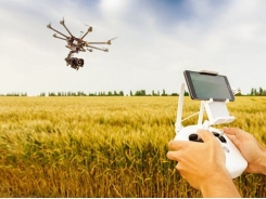 10 xu hướng nông nghiệp công nghệ cao ở Ấn Độ