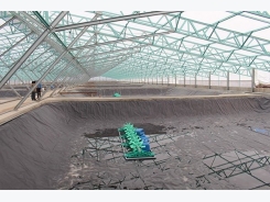 VND1-trillion shrimp farming greenhouse to be launched this month