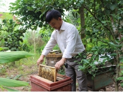 Đáng nể tấm gương nuôi ong VietGAP, mỗi năm thu hơn 2 ngàn lít mật sạch