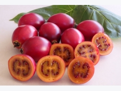 Cà chua thân gỗ hàng 'hiếm', giá 'cắt cổ' nhưng trồng tại nhà chỉ vài bước đơn giản
