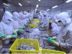 Seafood firms struggle in local market