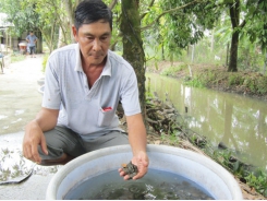 Về miền Tây thăm tỷ phú ba ba