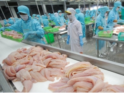 Vietnam builds sustainable fisheries industry