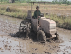 Một số lưu ý vệ sinh đồng ruộng, làm đất cho vụ xuân 2019