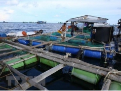 Aquaculture grows towards an industrial scale