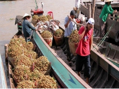 Vegetable, fruit export growth slows