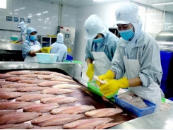 Control of catfish exports to China