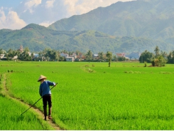 Vietnam Farmers’ Union helps boost agricultural production