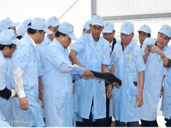 High-tech tra fish farm launched in An Giang