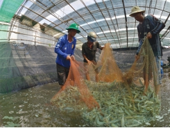 An toàn sinh học cho nuôi trồng thủy sản