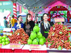 Hanoi developing supply chains of safe agricultural produce