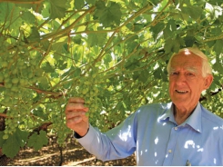 Secrets of a visionary fruit farmer