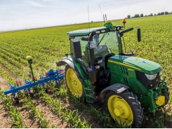 Biofumigation using an eelworm trap crop