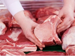 Many major countries export pork to China