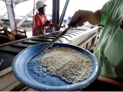 India rice prices rebound, Vietnam sees uptick in demand