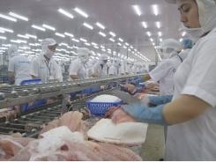 Tra fish firms struggle to gain local market share