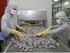 Shrimp exports slide further in 2019, better outlook expected next year