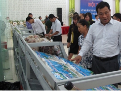 Bac Giang to open farm produce store and promote Luc Ngan orange, pomelo in Hanoi